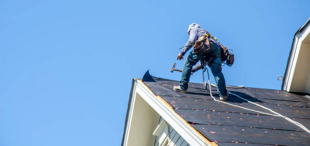 Best Commercial Roofing Services  in Wonder Lake, IL